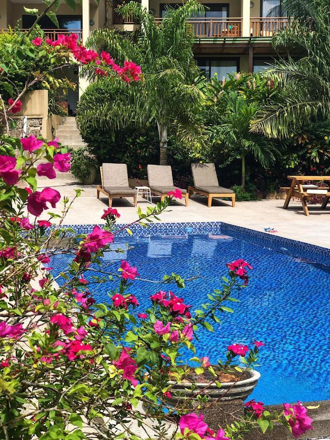 Eden Hills Residence Anse Boileau Dış mekan fotoğraf